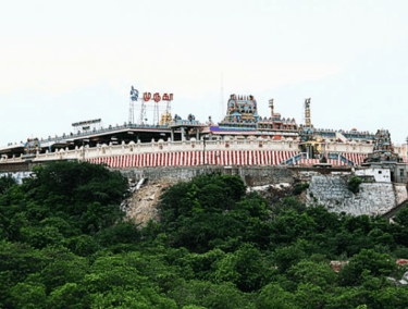 Pazhamudhir Solai