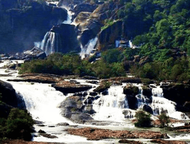 Puliancholai Falls and Forest Trek