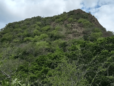 Sathuragiri Hills