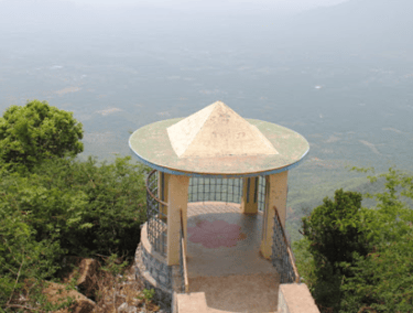 Selur Viewpoint