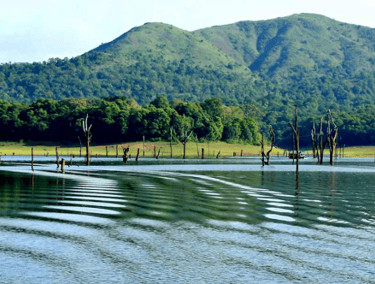 Thekkady (Accessed from Theni Side)