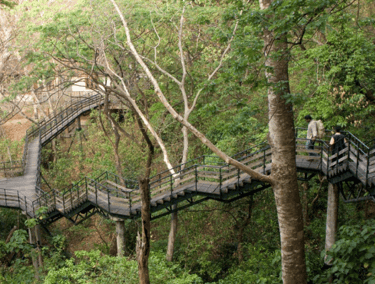 Thenmala Ecotourism (Nearby)
