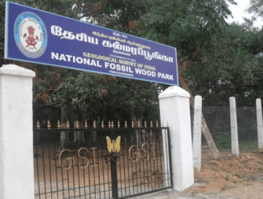 Thiruvakkarai Chandramouleeswarar Temple & Fossil Wood Park