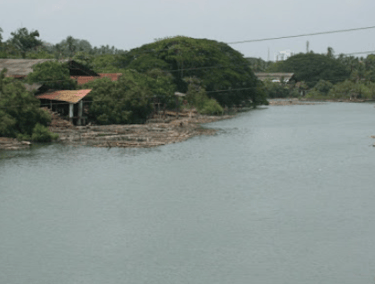 Veeracholan Riverbank