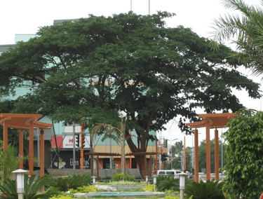 VOC Park and Zoo