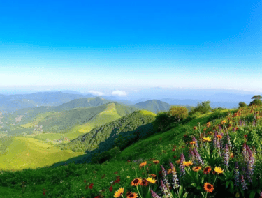 Yelagiri Hills