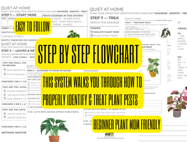 quiet at home pest ID flowchart printable open to diagnostic steps for identifying common houseplant