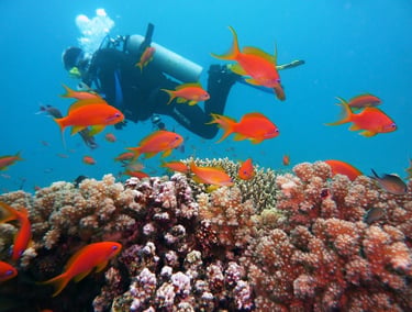 Diver monitoring a Caribbean coral reef and native fish populations