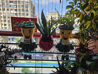 tingu planter and emoji planter - plastic planters