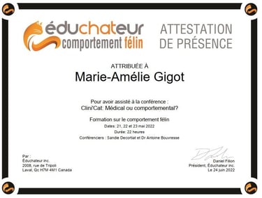 Educhateur, comportement félin, formation, Canada
