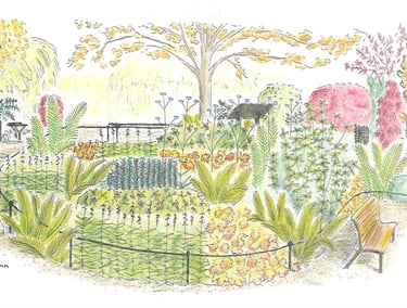 Artistic impression of a summer planting design