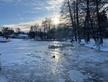 Frozen Lake