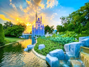 Disney Magic Kingdom Dispensary Near Me Flower Neighbor