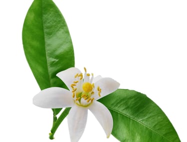 baume-nettoyant-naturel-artisan-cosmethic