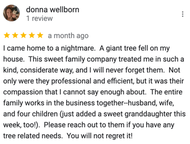 Google Review Tree Service Hickory NC