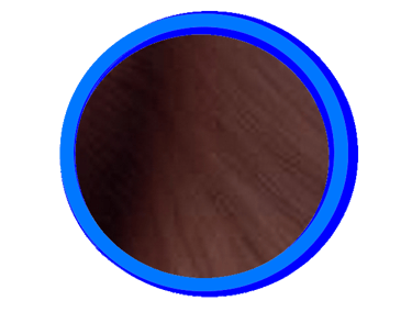 Le seal est la couleur la plus foncée du Ragdoll, elle va du marron clair au noir profond.