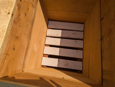 Inside of planter box