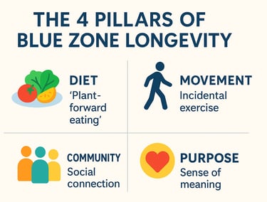Blue Zones Secrets: The 4 Pillars of Longevity for a Longer, Healthier Life