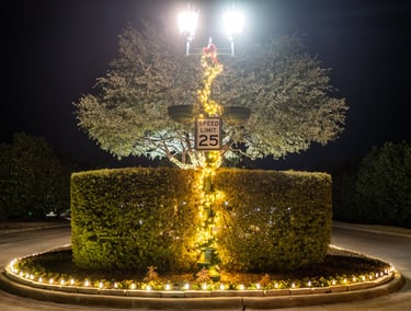 Illuminated Christmas lights on a street lamp and hedges in a traffic roundabout at night.