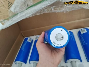 Detail of the negative terminal of Yinlong 40Ah LTO battery cell