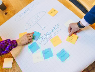 Strategie en inrichting van organisaties