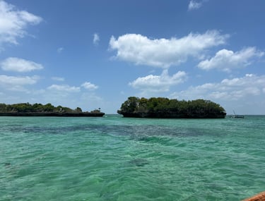 Scenic view of rocks with tropical trees growing in turquoise waters at Safari Blue Zanzibar, perfect for snorkeling 