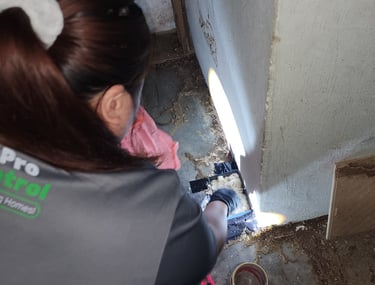 Pest Control technician servicing termites baiting station