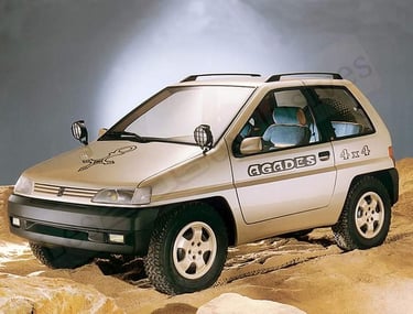 Peugeot agades 4x4 heuliez 1989