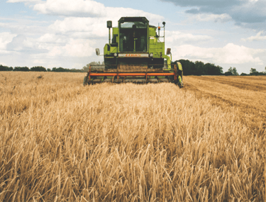 AI in Agriculture