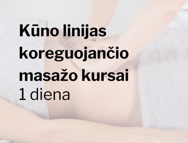 kūno linijas koreguojančio masažo kursai