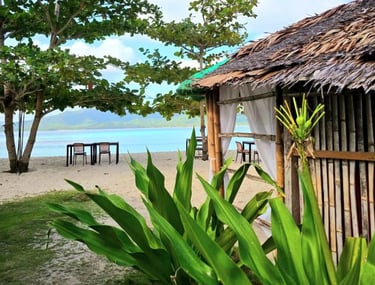 Beach 3D2N Linapacan Island Tour