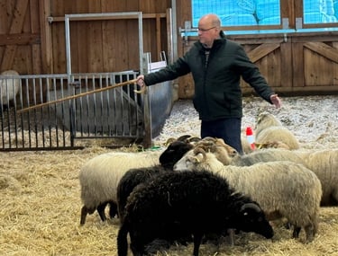 Leiderschapsontwikkeling met schapendrijven