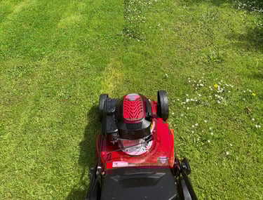 lawn mowing 