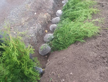 pris för Häckplantering