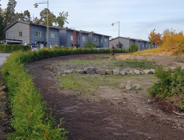 Häckplantering stockholm