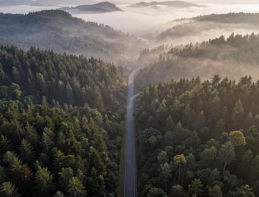A vast, breathtaking aerial view of a winding road through a forest at sunrise. The fog is settled in the valleys, creating a moody, sophisticated atmosphere. Cinematic photography.