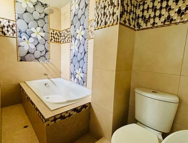 BAÑO COMPLETO CON TINA