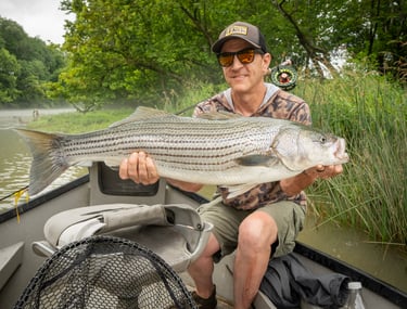 Check out this big striper Eric caught on a trip with the South Holston Angler