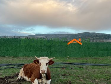 Bursa çimçit çimli tel Bursa'da çimçit Bursa panel çit Doburcam tel çit Doburcam yapı Bursa tel çit