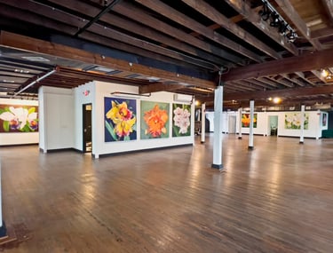 Gallery installation of monumental botanical art by Christine Knize at the Lark, Jacksonville. FL