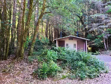 redwood national park, redwoods, a small cabin in the woods