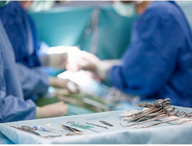 chirurie clinique vétérnaire alpesia varces