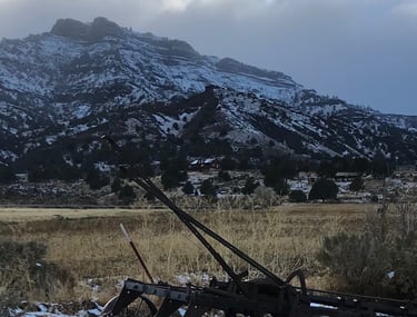 Surprise Valley California