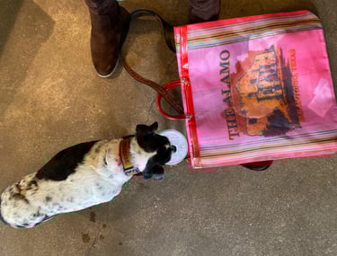 Shopping the Alamo with my Bestie Gigi