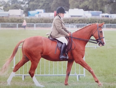 Louise at Cheshire Show