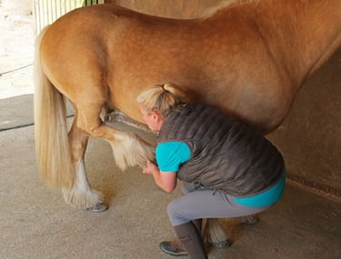 Louise practising bodywork