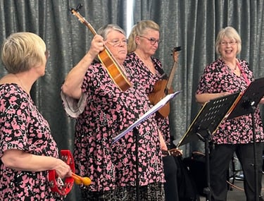 Ukuladies explain about the different ukes they use