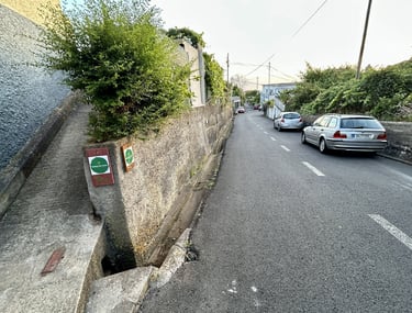 Cars parked on a residential street by Bamboo Star House