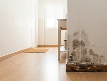 Humedad por capilaridad en parte baja de la pared con manchas y deterioro