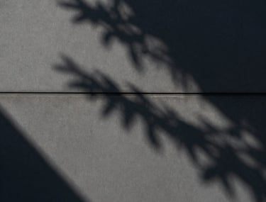 Clean, architectural shot of an exterior wall with shadow patterns from a nearby tree, South American / Chilean afternoon sun, dark gray tones.